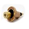 Thrifco Plumbing 54070 Full Brass Pop-Up 8430055 - alternate 1